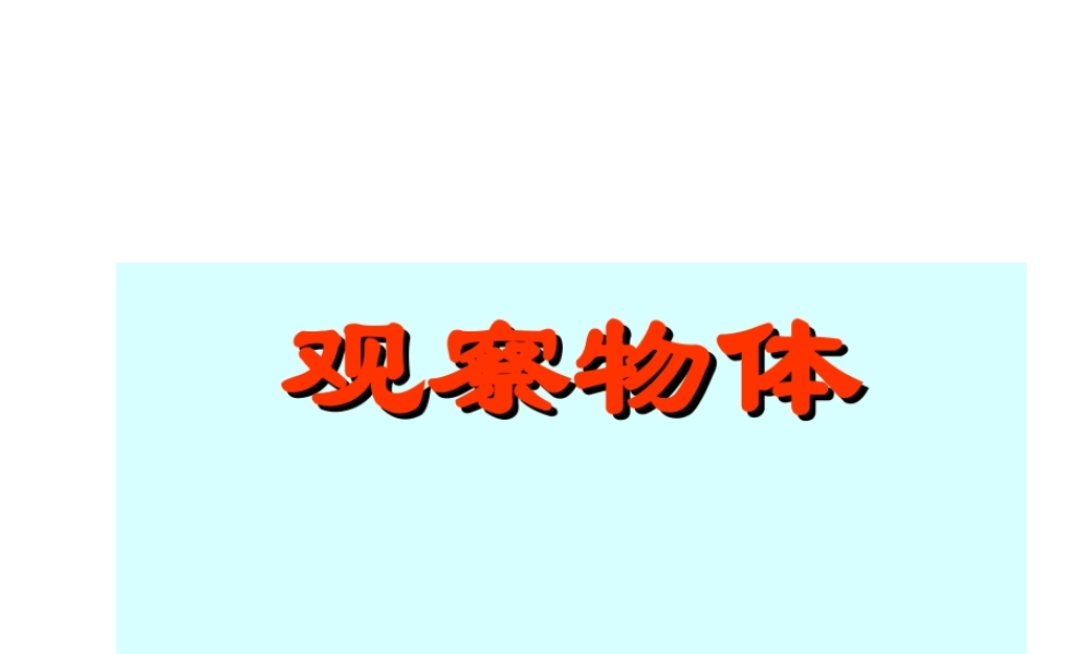 高博观察物体PPT