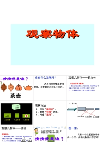 高博观察物体PPT