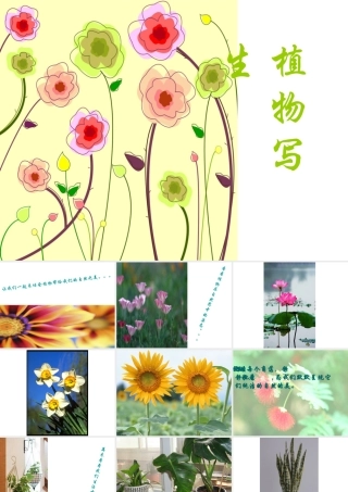 《植物写生》课件