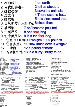 人教版九年级英语Unit15课件