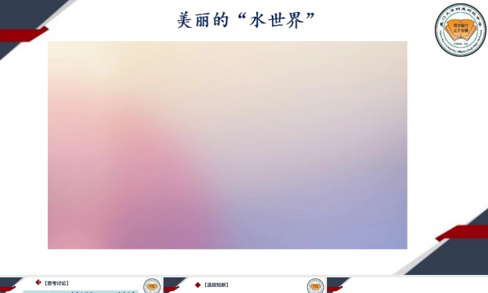 离子方程式的意义