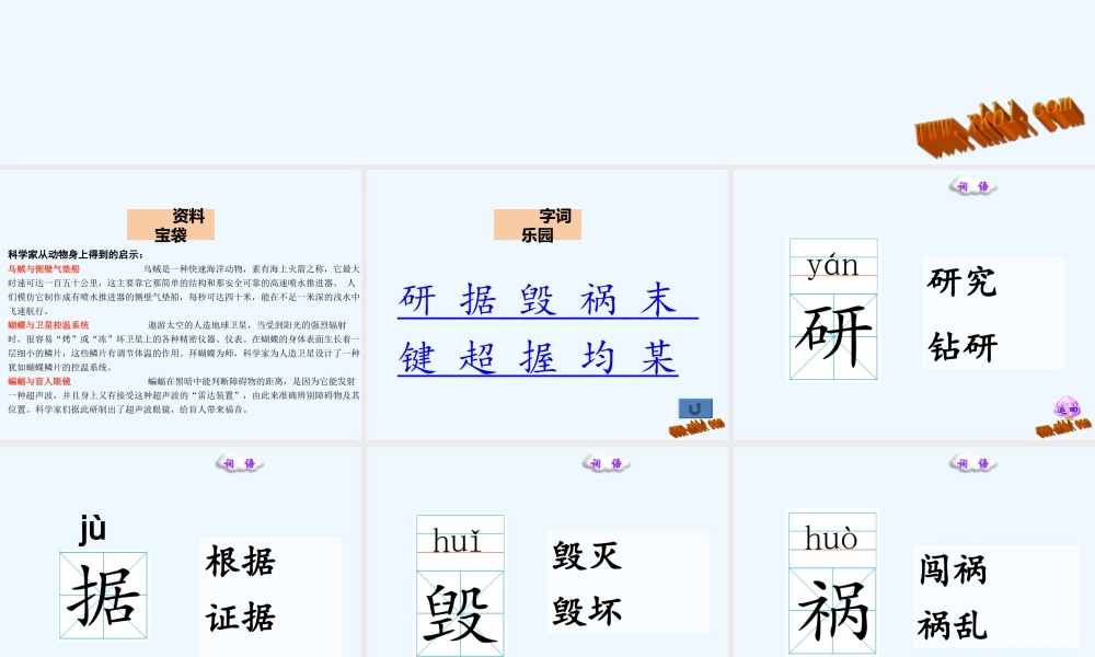 第16课人类的老师