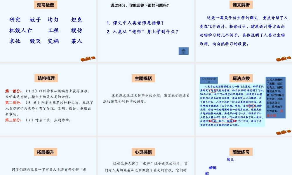 第16课人类的老师