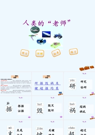 第16课人类的老师