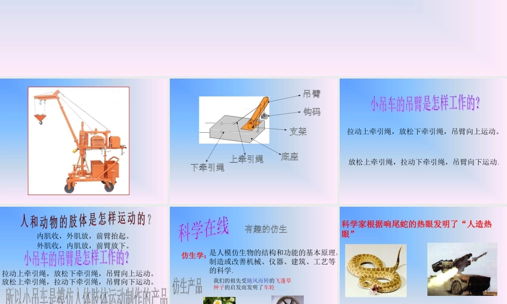 《4-小吊车》课件