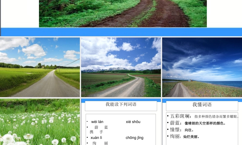 湘教版五年级下册《自己的小路》1PPT课件