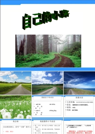 湘教版五年级下册《自己的小路》1PPT课件