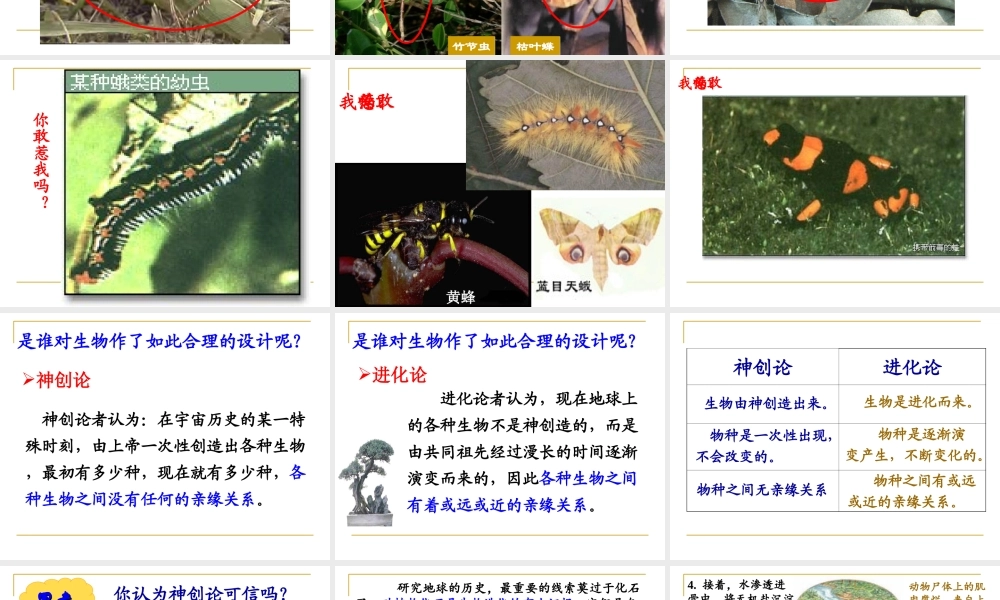 科学家的故事-达尔文和他的进化思想