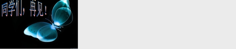 《每当我走过老师窗前》课件