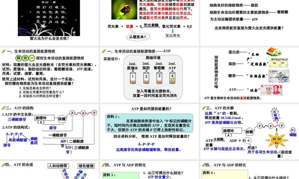 生命活动的直接能源——ATP