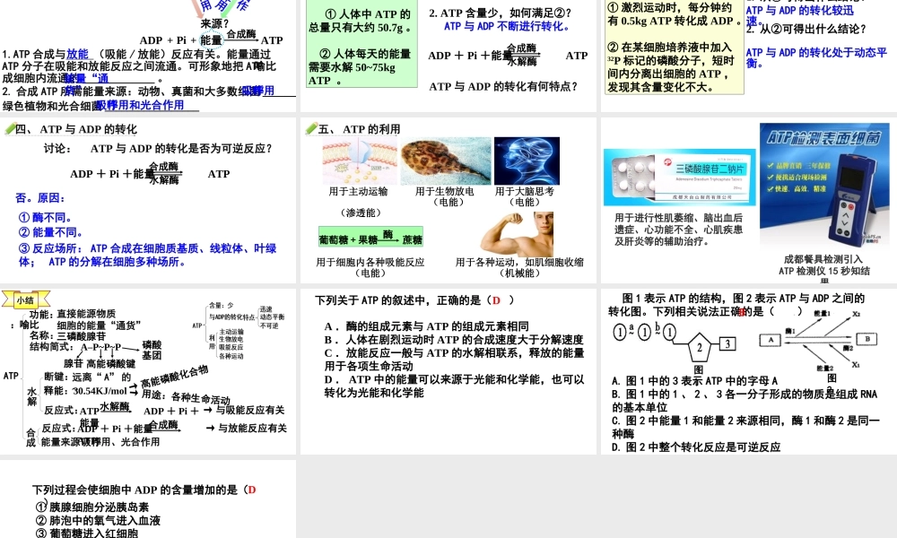 生命活动的直接能源——ATP