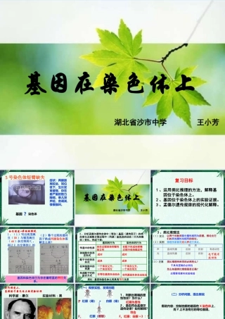 一果蝇的伴性遗传