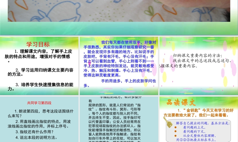 北师大版四年级语文下册《手上的皮肤》PPT课件