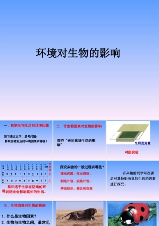 《第一节-环境对生物的影响》-课件2
