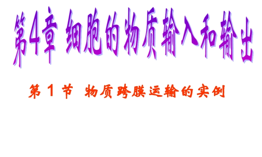物质跨膜运输