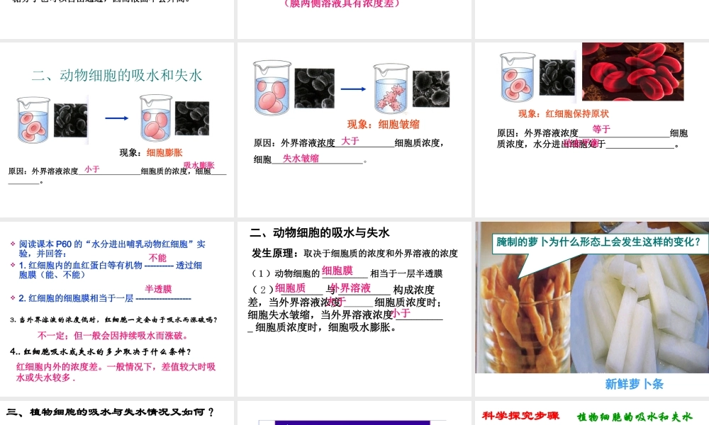 物质跨膜运输