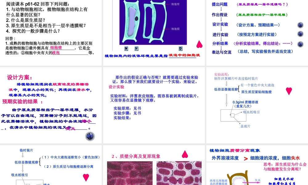 物质跨膜运输