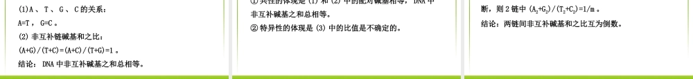 3.2-《DNA分子的结构》课件4