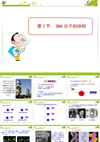 3.2-《DNA分子的结构》课件4