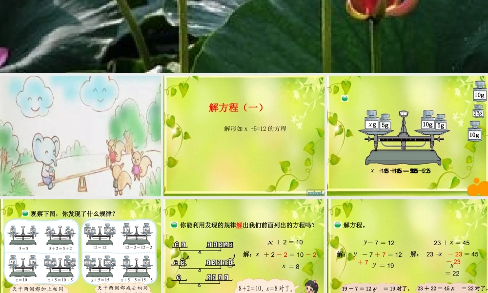 小学数学北师大2011课标版四年级北师大版四年级下册解方程(一)