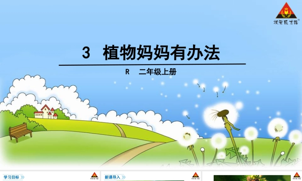 3-植物妈妈有办法