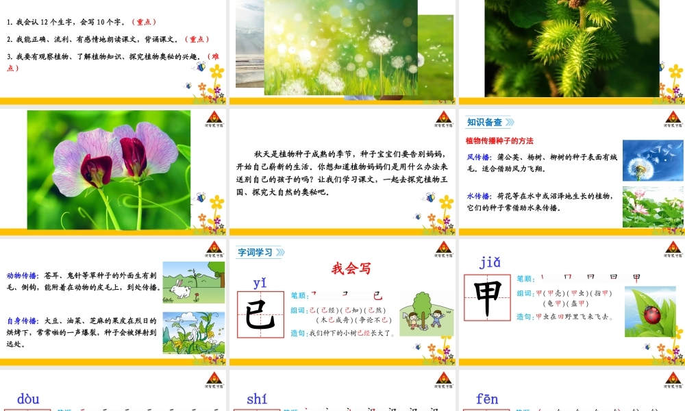 3-植物妈妈有办法