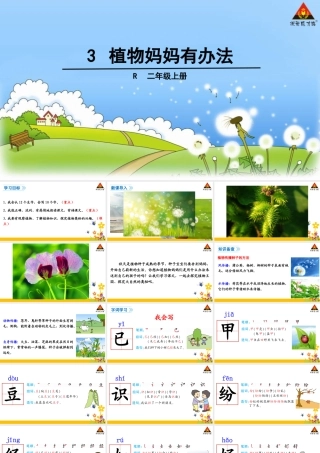 3-植物妈妈有办法