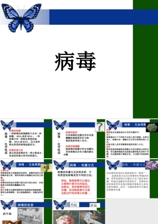 《病毒》课件4