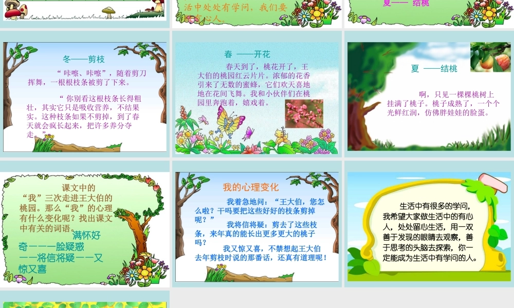 剪枝的学问课件