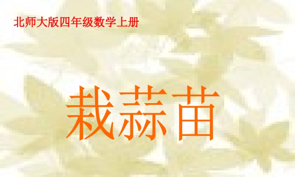 北师大版数学四年级上册《栽蒜苗》课件