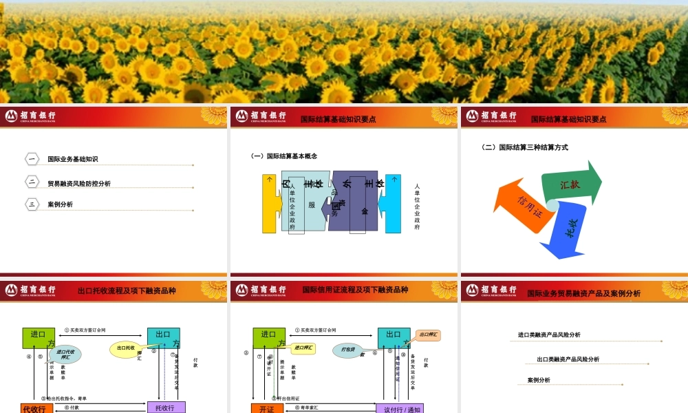 银行国际业务贸易融资及风险防控(融资)