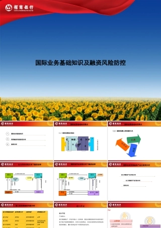 银行国际业务贸易融资及风险防控(融资)