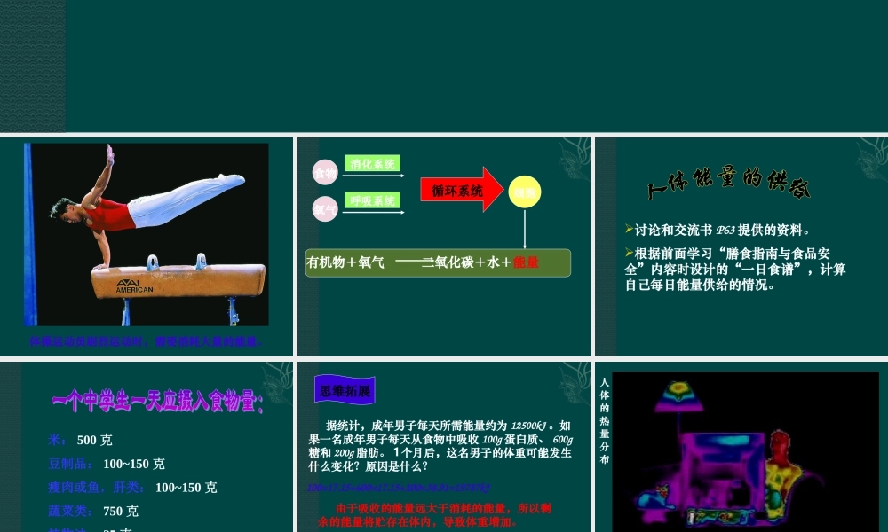 七年级生物下册-10.6-人体能量的供给(课件)苏教版