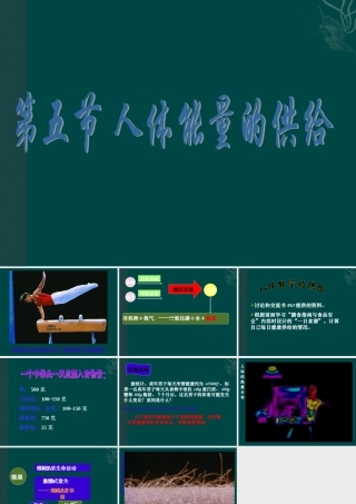 七年级生物下册-10.6-人体能量的供给(课件)苏教版