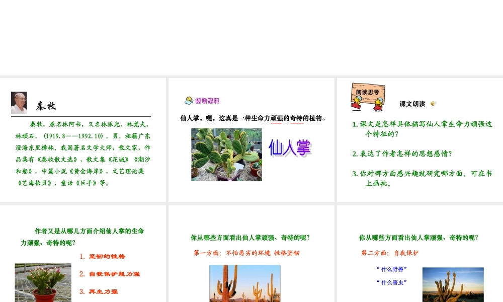 西师版六年级上册语文第15课《仙人掌》课件PPT