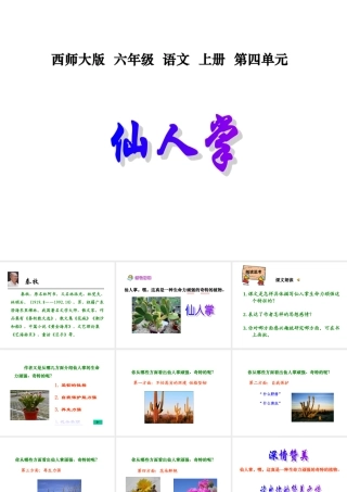 西师版六年级上册语文第15课《仙人掌》课件PPT