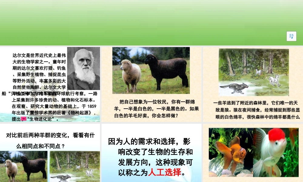 达尔文与他的“进化论”