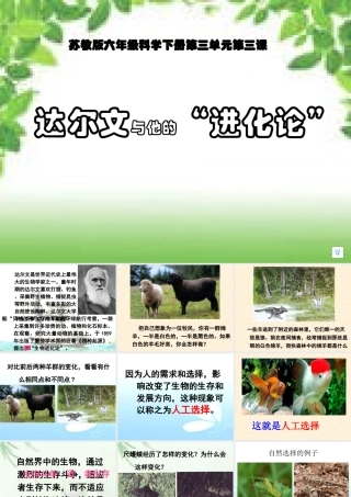 达尔文与他的“进化论”