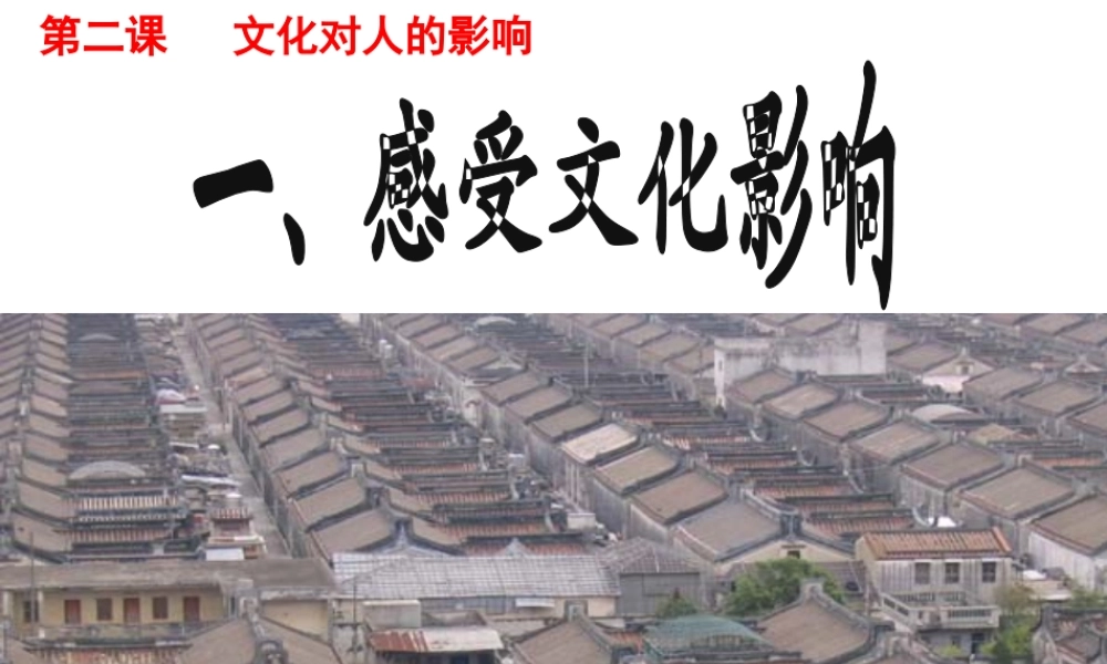 wll感受文化影响