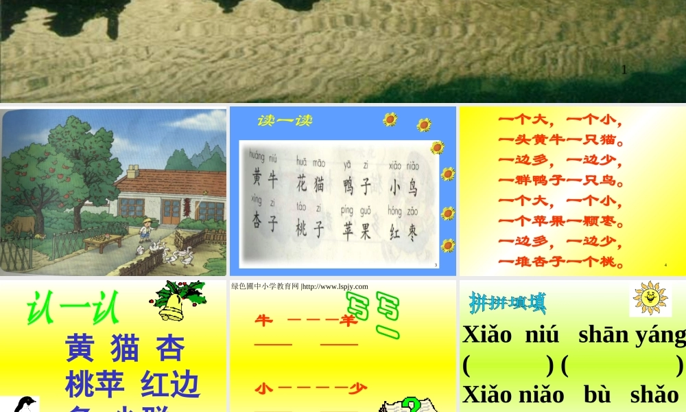 《比一比》课件四