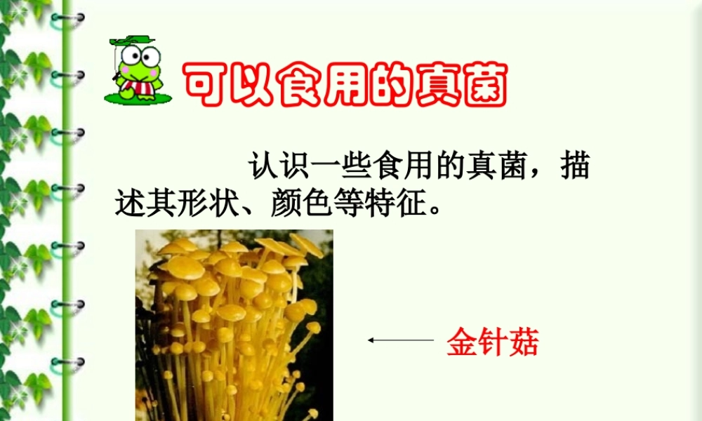 认识一些可食用真菌