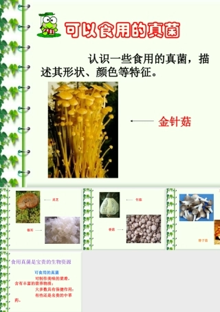 认识一些可食用真菌