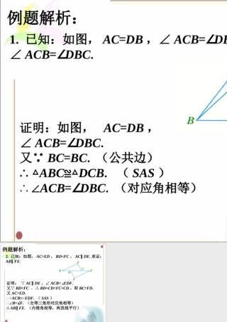 例题解析-边角边