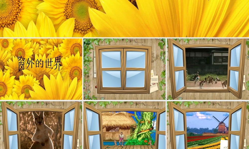湘教版小学美术四年级上册第七课《窗口》课件