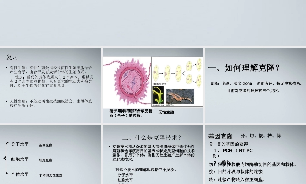 高中生物《什么是克隆》课件2-浙教版选修3