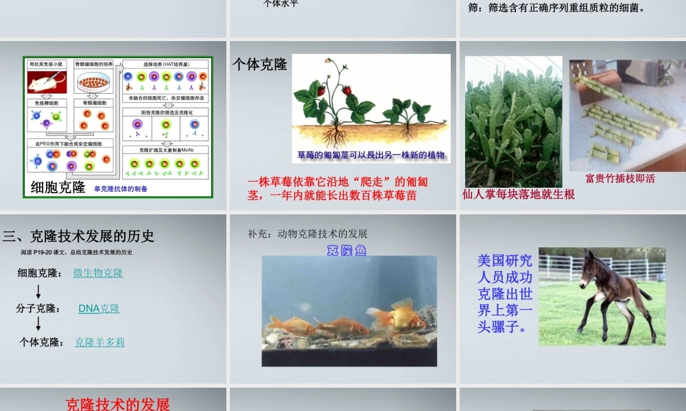 高中生物《什么是克隆》课件2-浙教版选修3