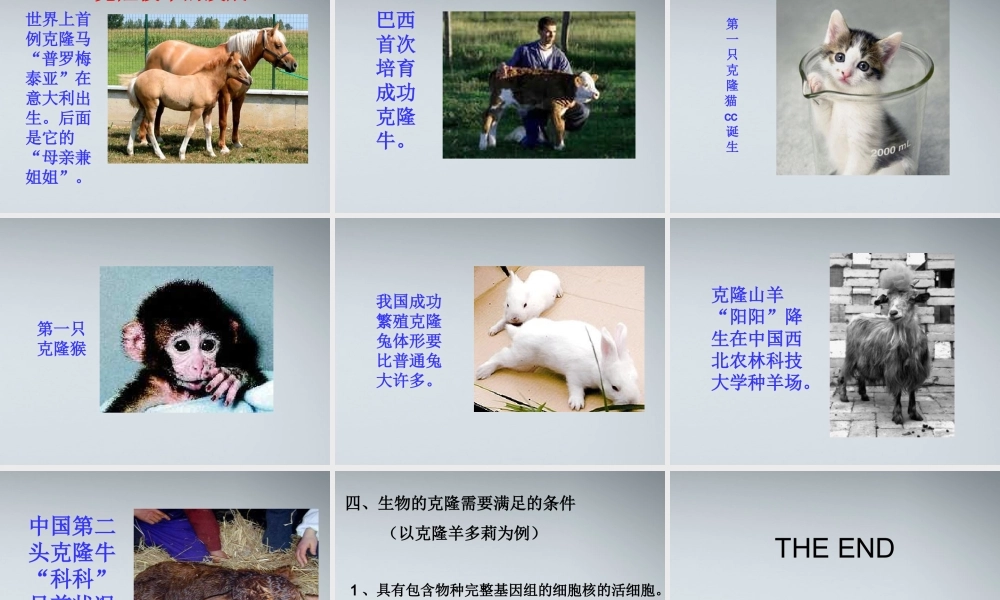 高中生物《什么是克隆》课件2-浙教版选修3