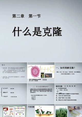 高中生物《什么是克隆》课件2-浙教版选修3