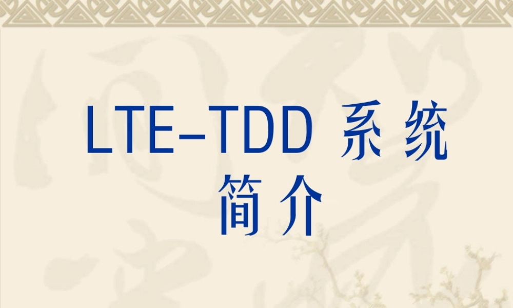 LTE-TDD系统简介
