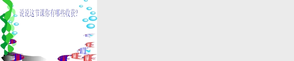 人教版小学数学课件数学广角《重叠问题》